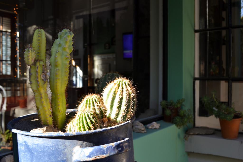 Hosteria Casa De Paula Trelew Exteriér fotografie